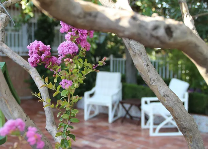 El jardín de la abuela